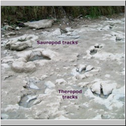 100_0791 (2009-27-07)m-lab.jpg